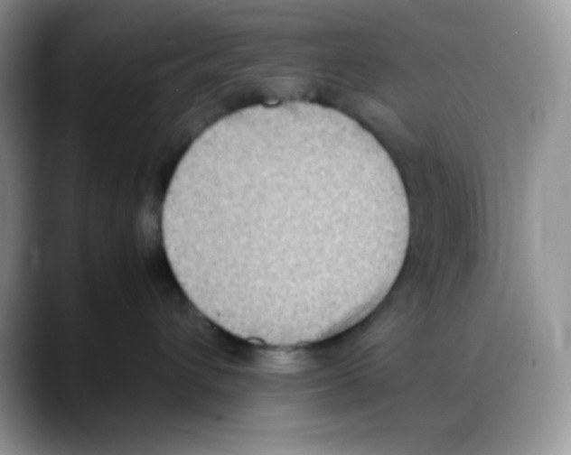 X0000088150432200706111447