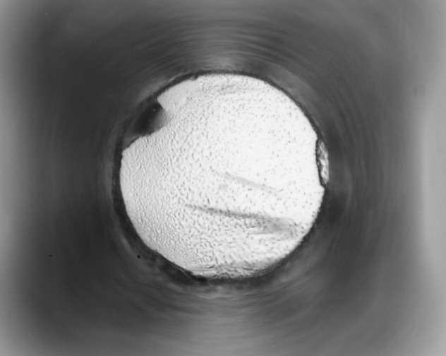 X0000088150434200706111446