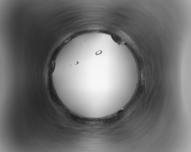 X0000088150436200706111446