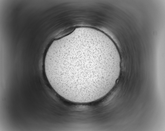 X0000088150437200706111446