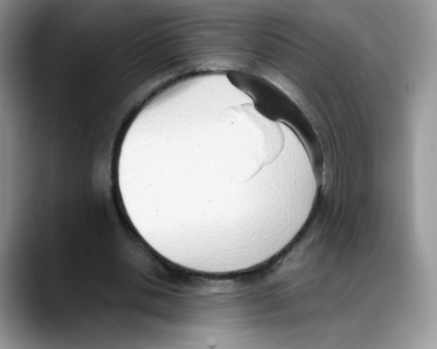 X0000088150438200706111446