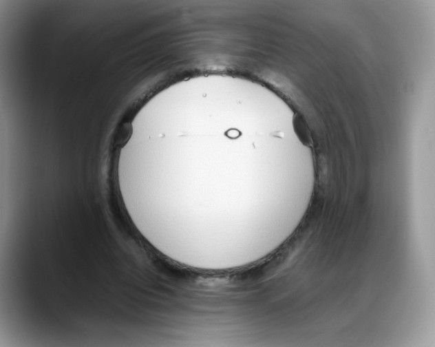 X0000088150440200706111446