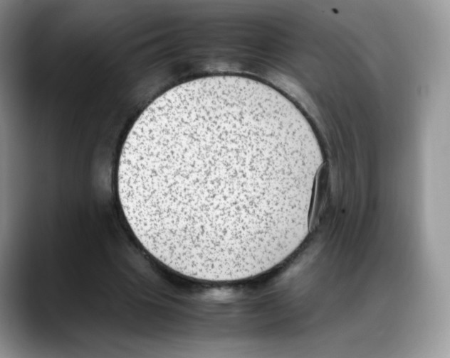 X0000088150441200706111446