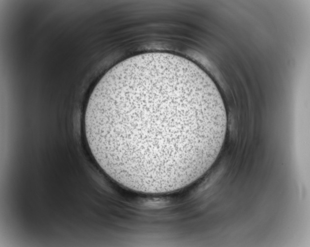 X0000088150445200706111446