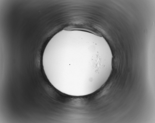 X0000088150446200706111446