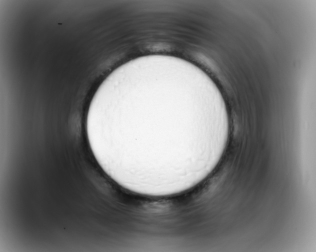 X0000088150447200706111446