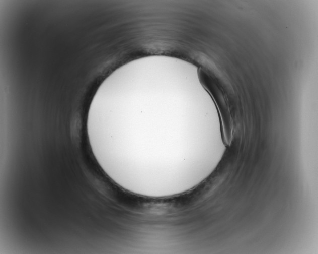 X0000088150448200706111446