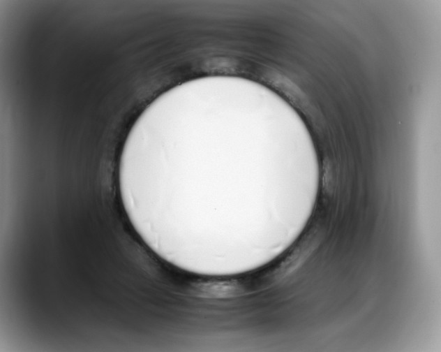 X0000088150449200706111446