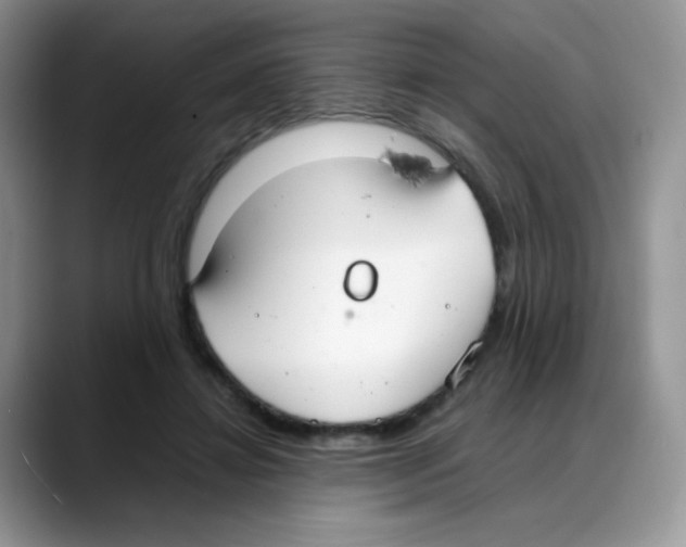 X0000088150452200706111446