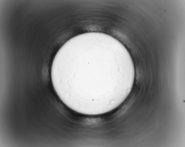 X0000088150453200706111446