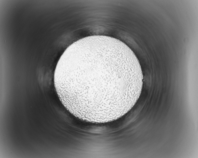 X0000088150458200706111446