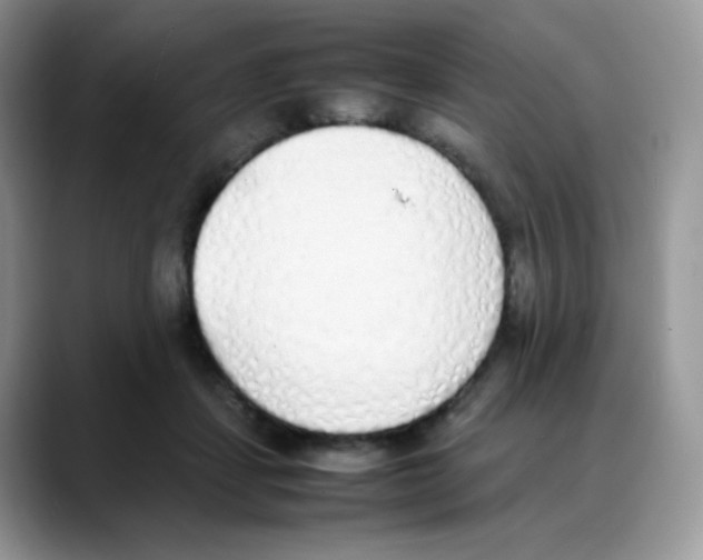 X0000088150459200706111446