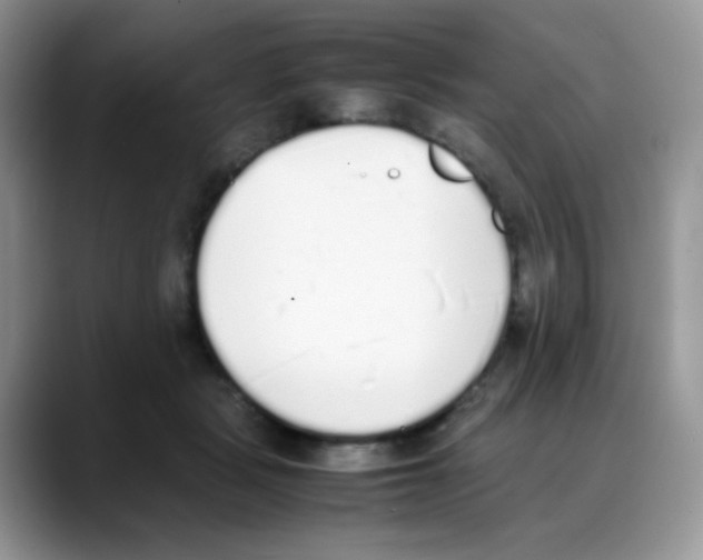 X0000088150461200706111446