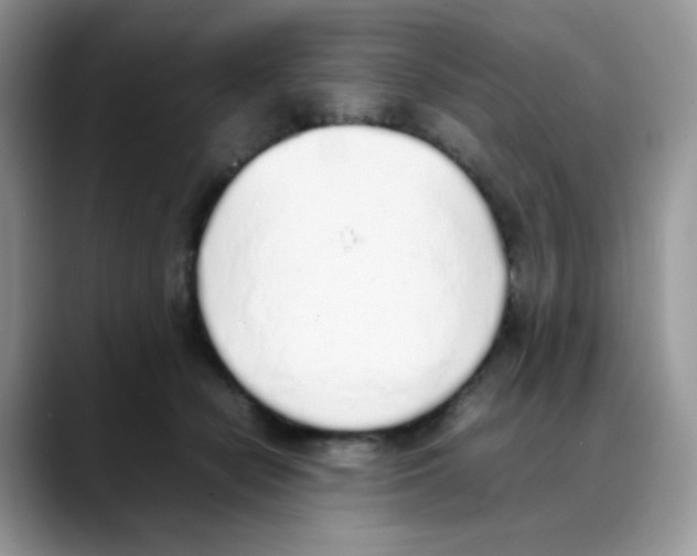 X0000088150462200706111446