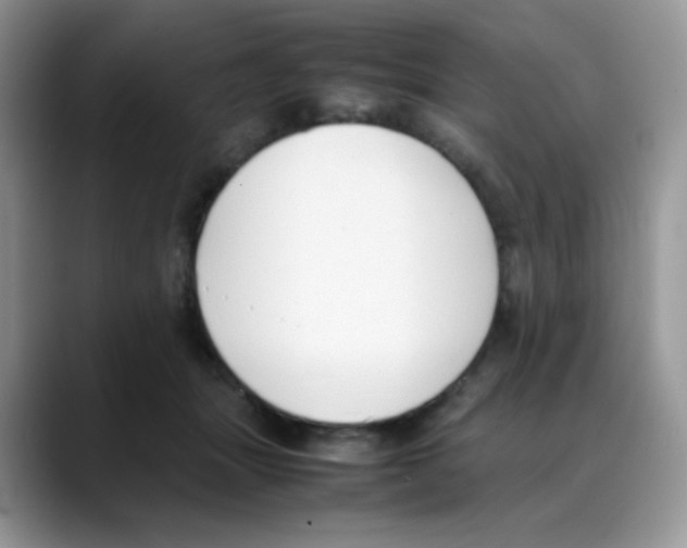 X0000088150463200706111446