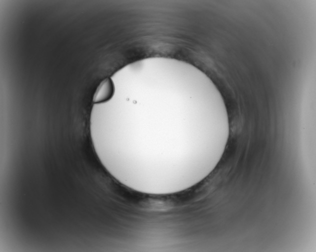 X0000088150464200706111446