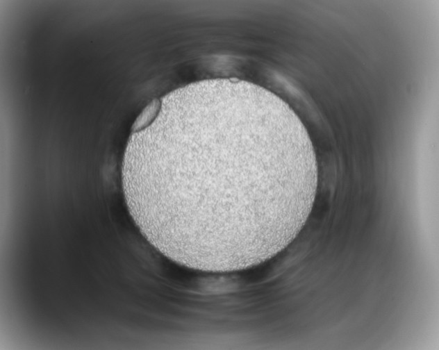 X0000088150465200706111446