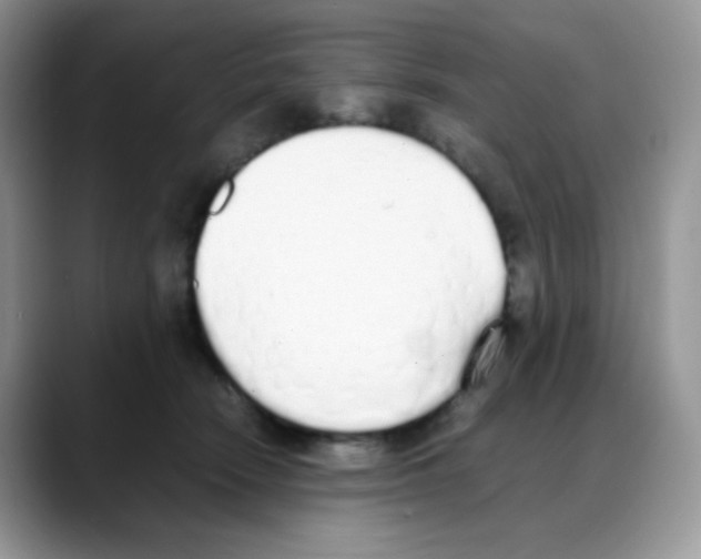 X0000088150466200706111446