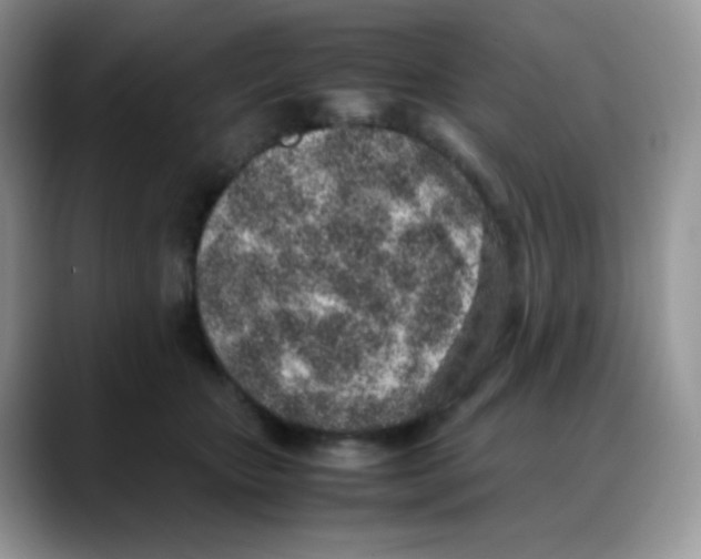 X0000088150467200706111446