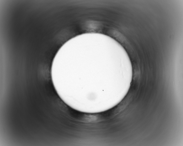 X0000088150469200706111446