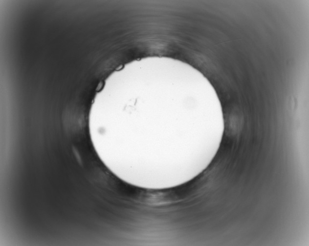 X0000088150472200706111447