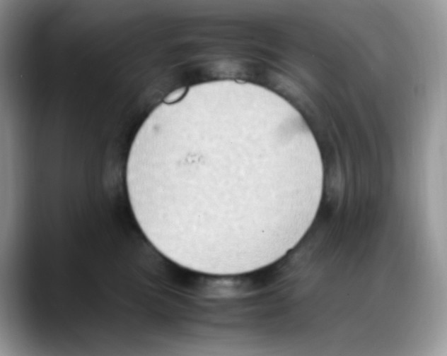 X0000088150473200706111447