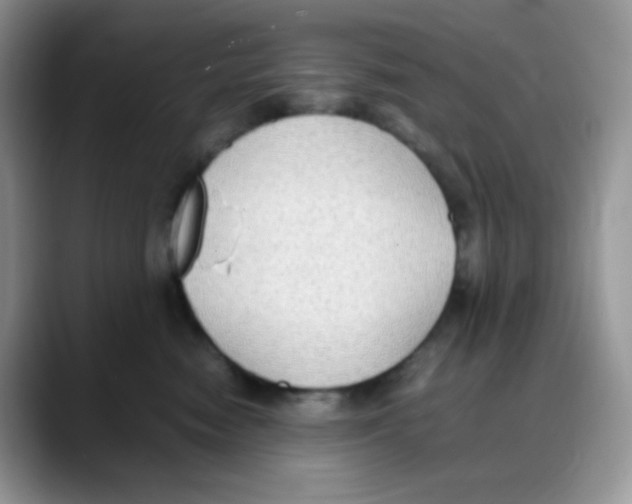 X0000088150474200706111447