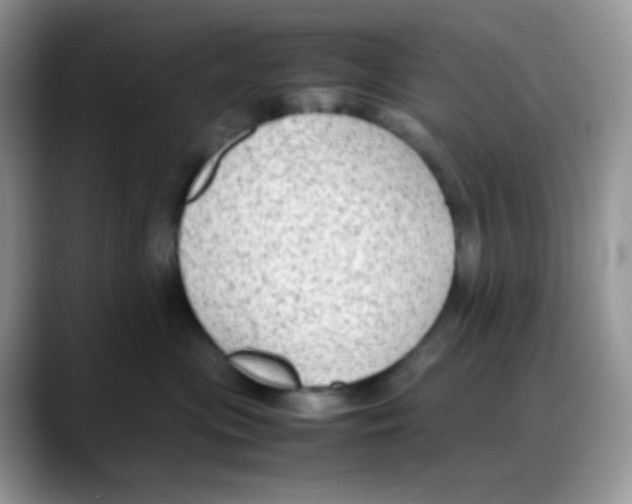 X0000088150477200706111447