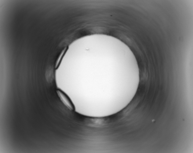 X0000088150478200706111447