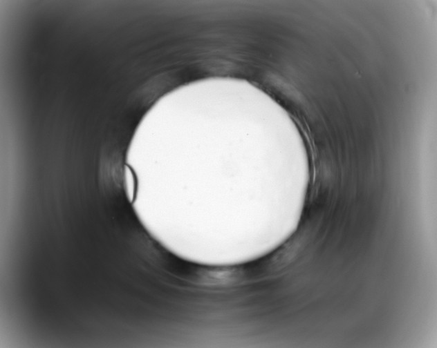 X0000088150479200706111447