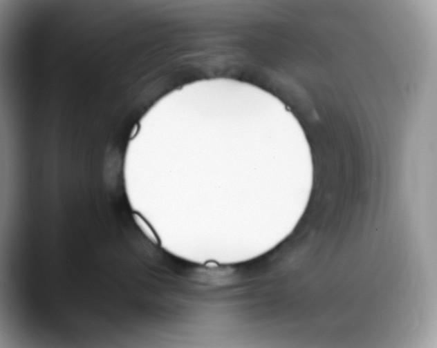 X0000088150480200706111447