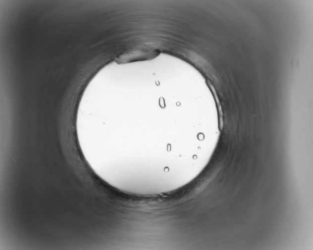 X0000088150481200706111446