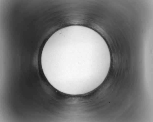 X0000088150482200706111446