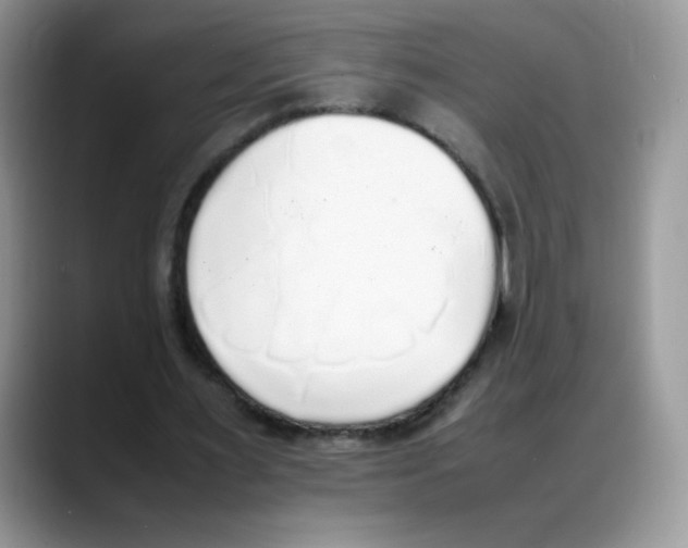 X0000088150483200706111446