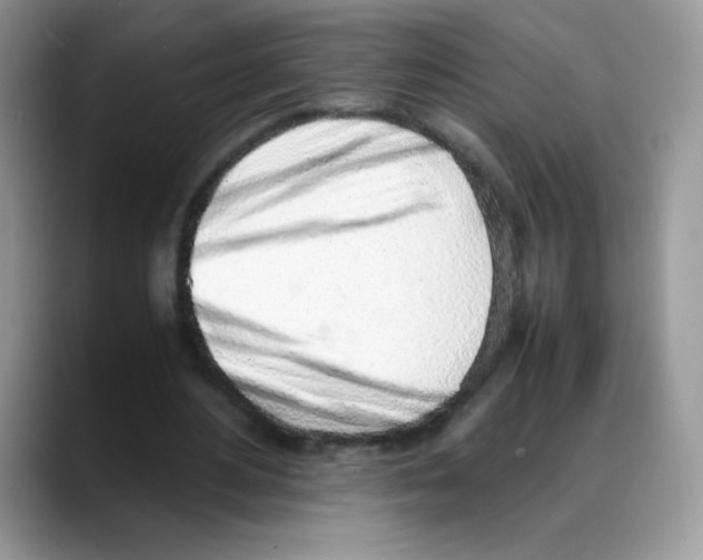 X0000088150484200706111446