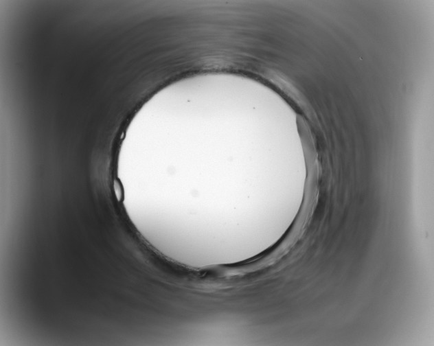 X0000088150485200706111446