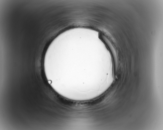 X0000088150487200706111446