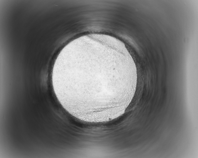 X0000088150488200706111446