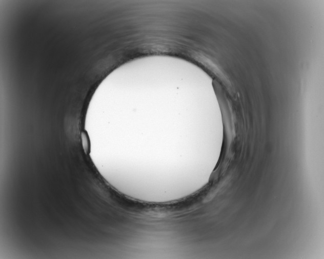 X0000088150489200706111446