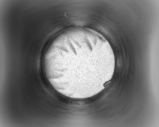 X0000088150492200706111446