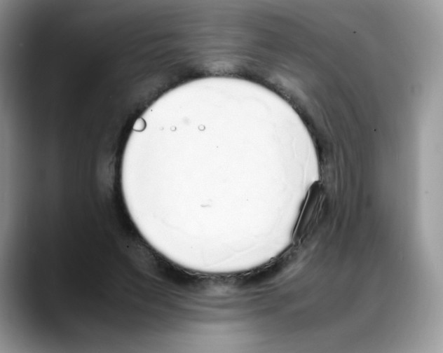 X0000088150495200706111446