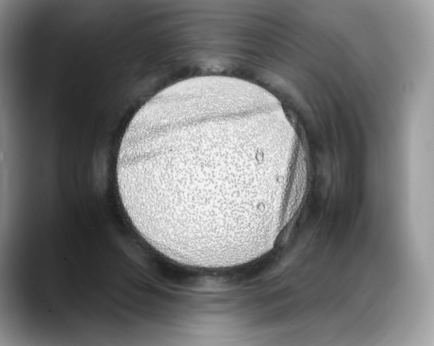 X0000088150496200706111446