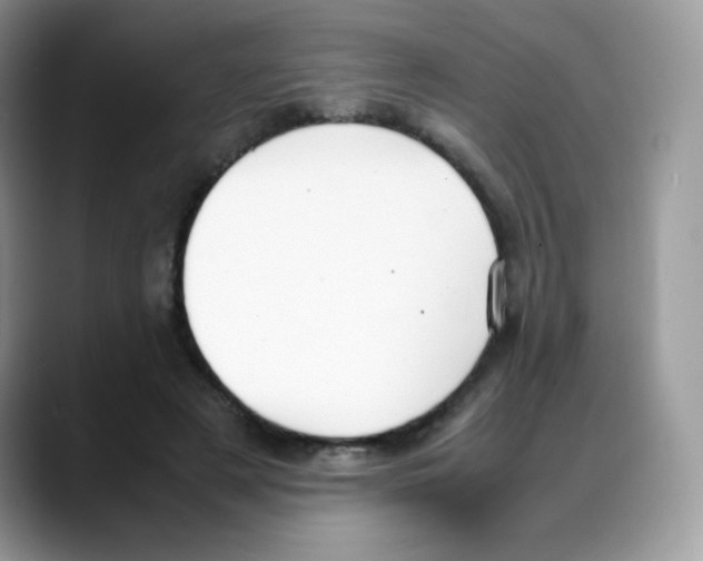 X0000088150497200706111446