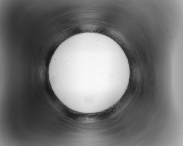 X0000088150498200706111446