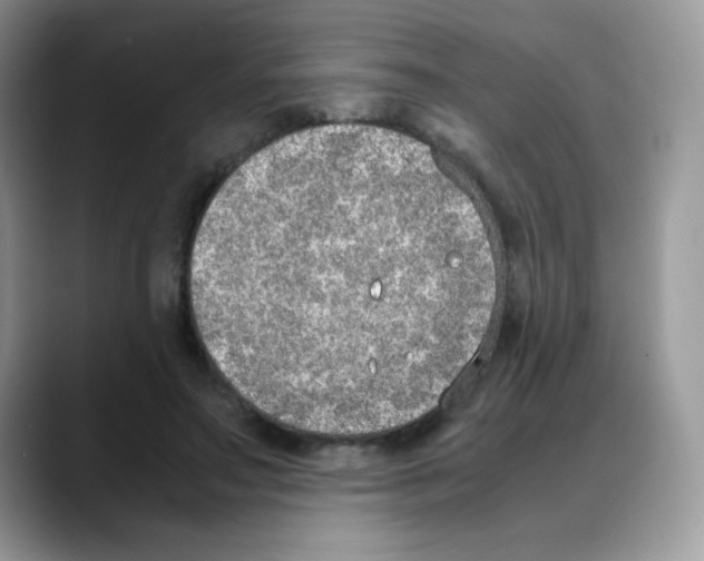 X0000088150499200706111446