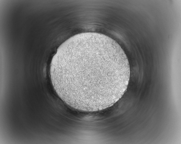 X0000088150504200706111446