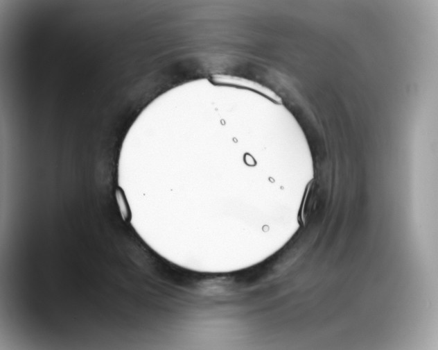 X0000088150505200706111446