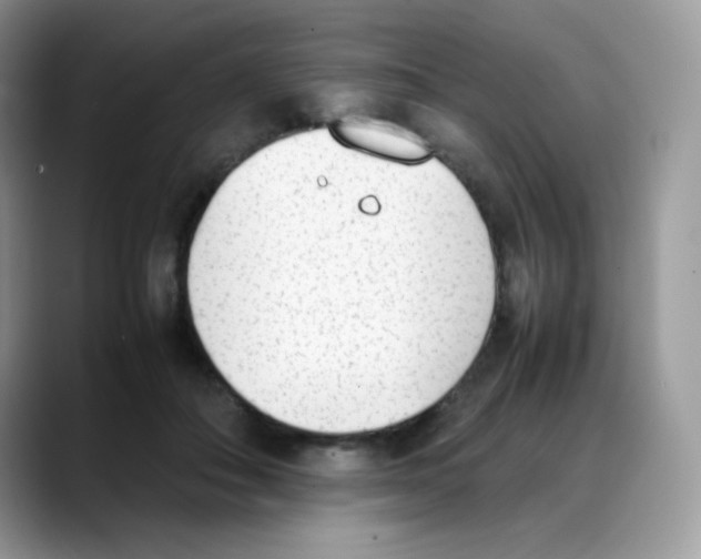 X0000088150506200706111446