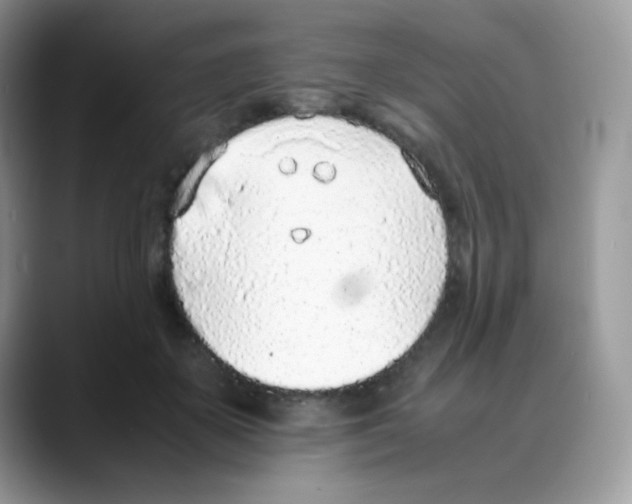 X0000088150507200706111446