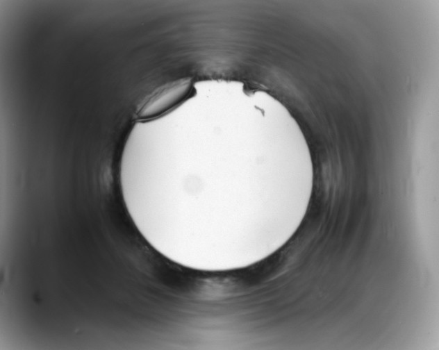 X0000088150508200706111446